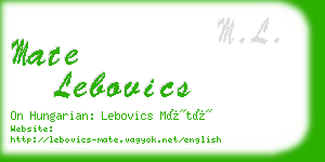 mate lebovics business card